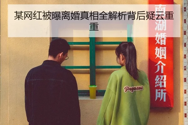 某网红被曝离婚真相全解析背后疑云重重
